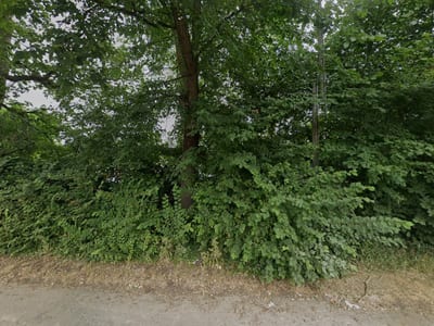 Harecroft Road Playing Fields, Wisbech