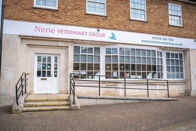 Nene Veterinary Group, Wisbech, Wisbech