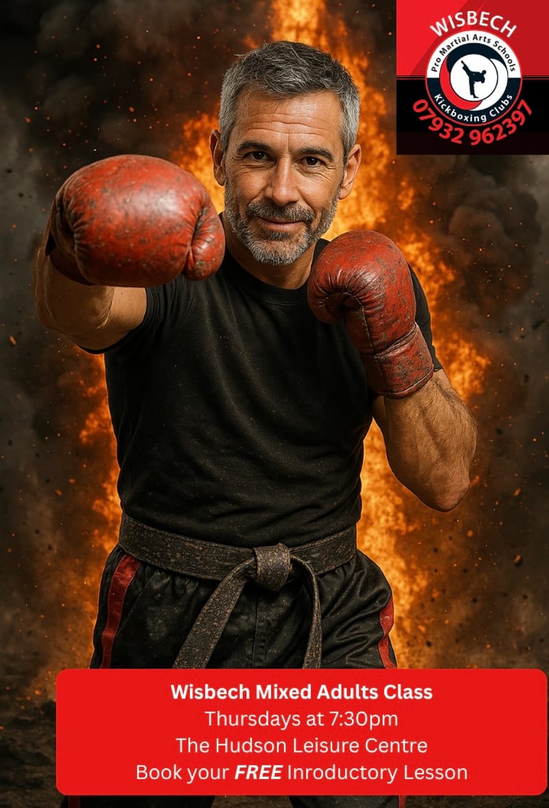 Pro Martial Arts Schools Wisbech, Wisbech