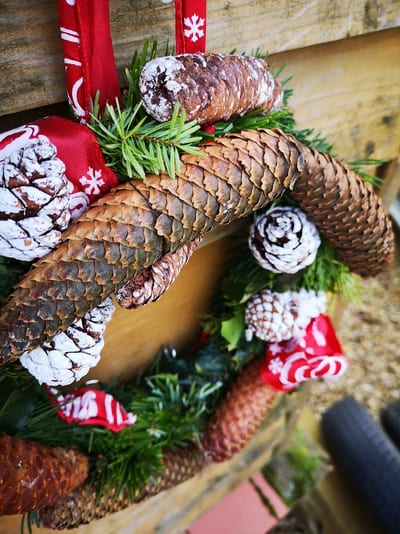 R & W Nurseries Ltd Christmas Trees Rushmore Barn, Wisbech