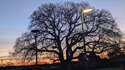 The Oasis Community Centre, Wisbech