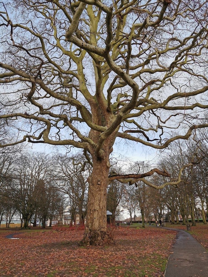 Wisbech Park, Wisbech